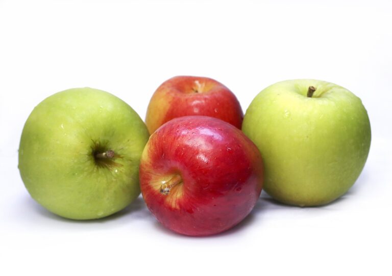 The Impact of Speech Therapy on Employment Readiness