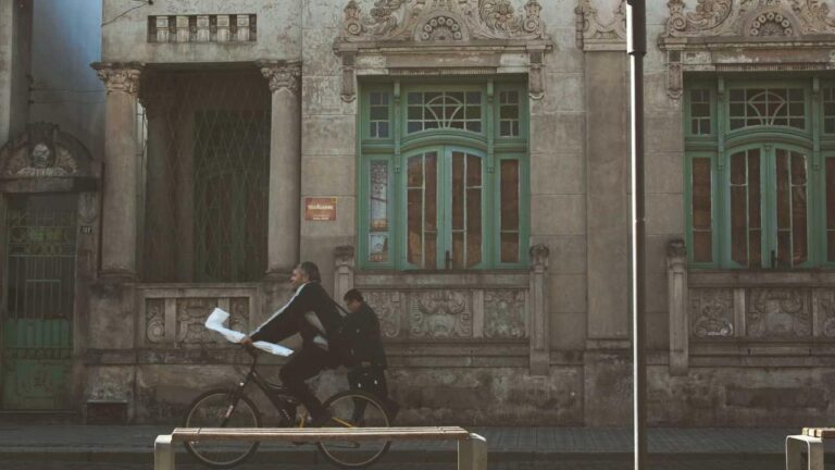 What Services Are Provided On 11Xplay Whatsapp Support?